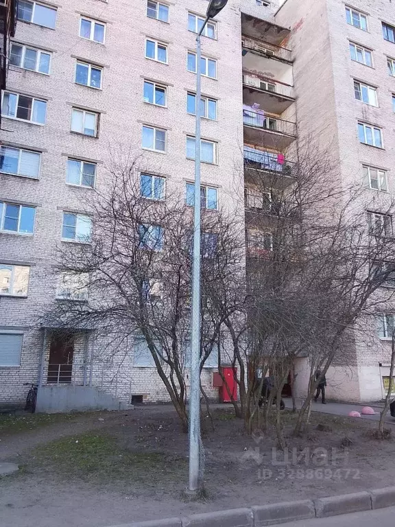 Комната Санкт-Петербург ул. Брянцева, 17 (24.2 м) - Фото 1