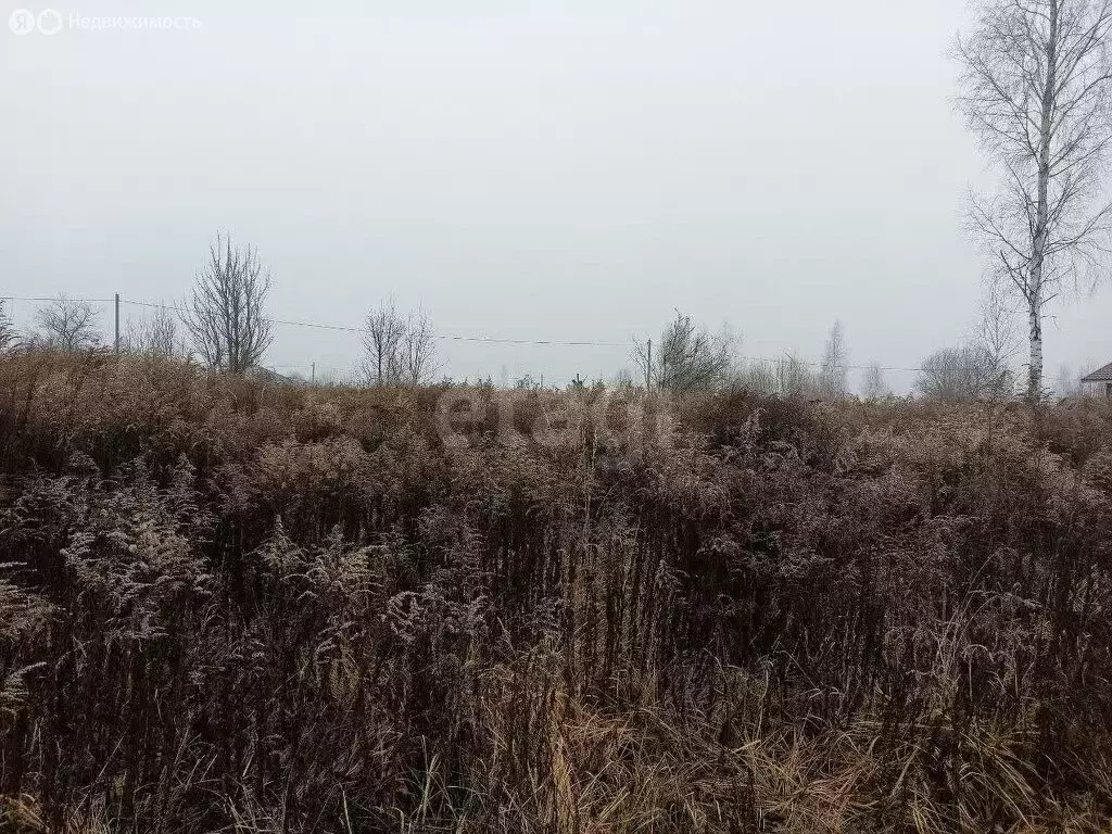 Участок в Добрунское сельское поселение, СДТ БЭМЗ (6 м) - Фото 1