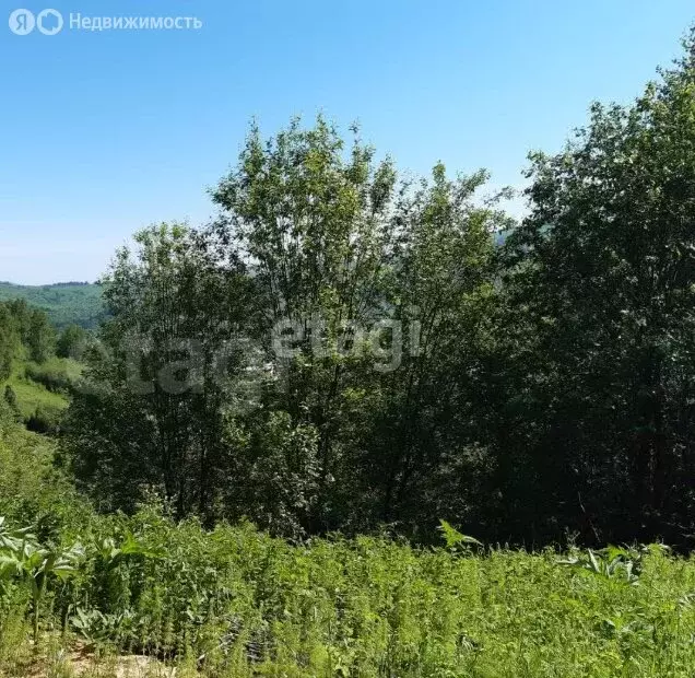 Участок в Горно-Алтайск, СНТ ГТФ (9.82 м) - Фото 1