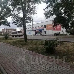 Торговая площадь в Алтайский край, Славгород ул. Ленина, 26 (1811 м) - Фото 2