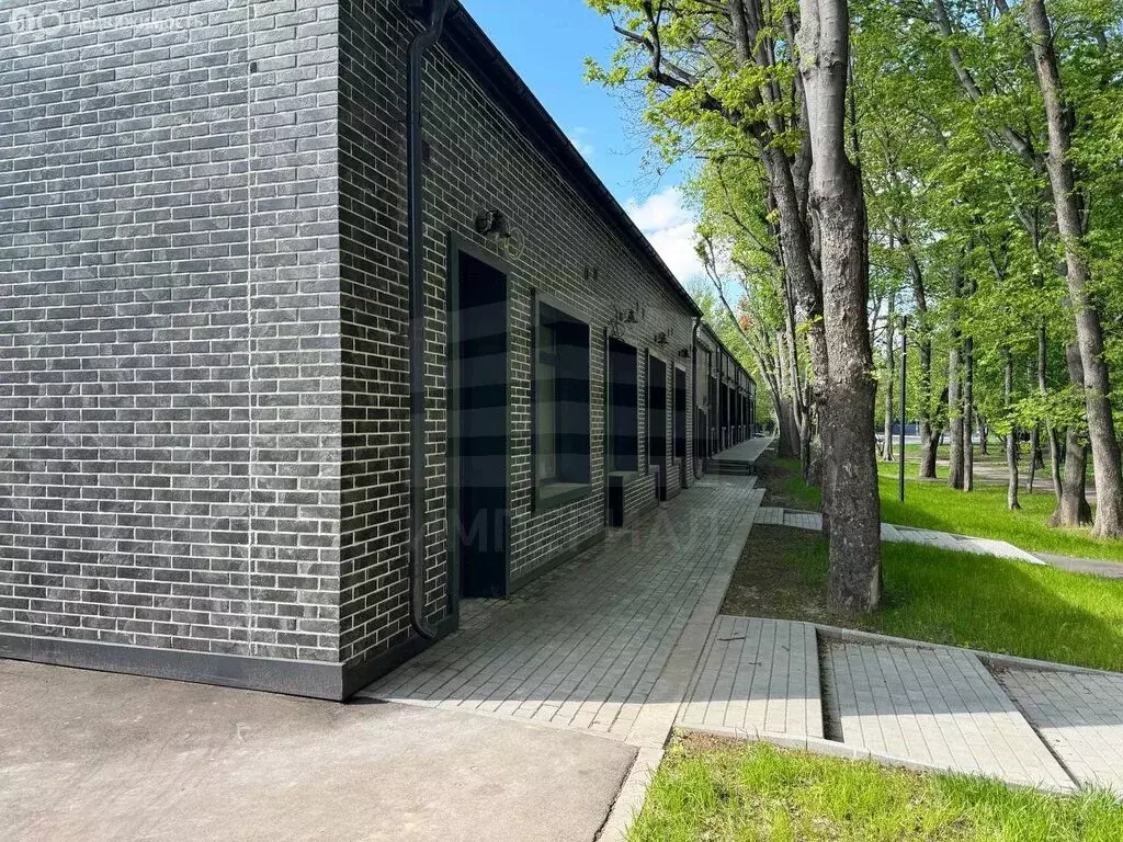 Помещение свободного назначения (19.8 м) - Фото 2