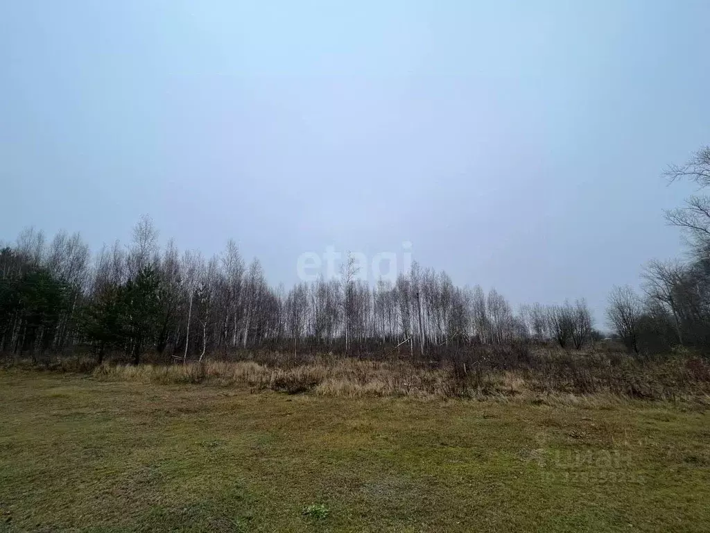 Участок в Владимирская область, Ковровский муниципальный округ М-7 ... - Фото 2