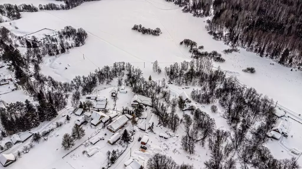 Участок в Пермский край, Пермский муниципальный округ, д. Тишкино ул. ... - Фото 1