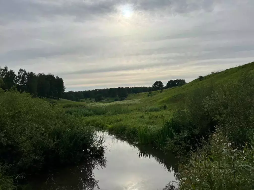 Участок в Московская область, Коломна городской округ, д. Апраксино ... - Фото 2