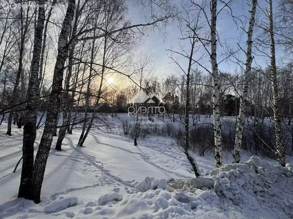 Участок в Новосибирск, Заельцовский район, микрорайон Карьер Мочище ... - Фото 0