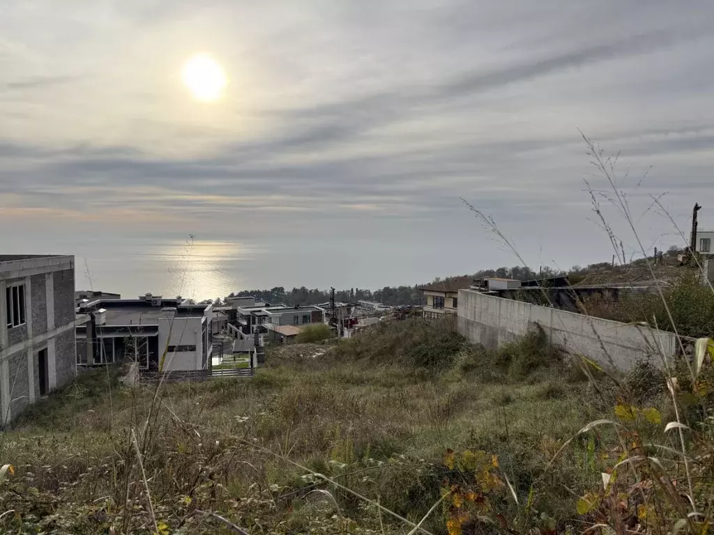 Участок в Краснодарский край, Сочи Сутугинское садоводческое ... - Фото 1