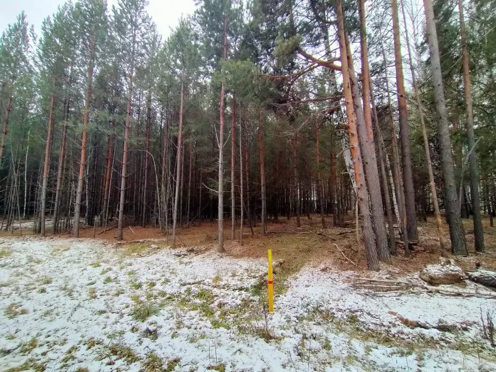 Участок в Свердловская область, Белоярский муниципальный округ, с. ... - Фото 1