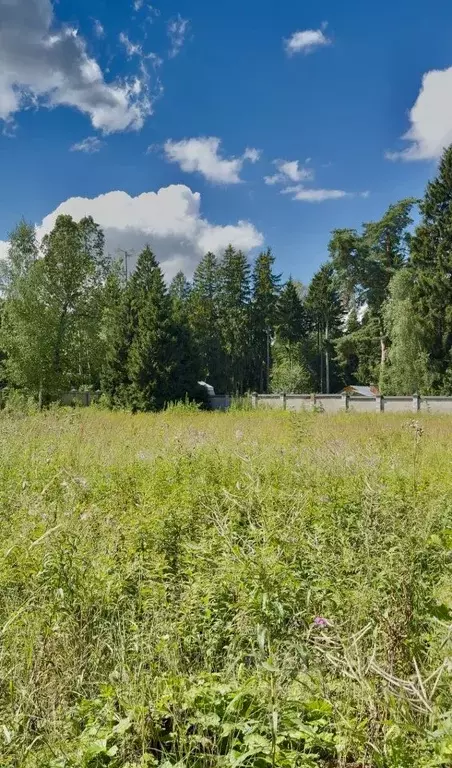 Участок в Московская область, Одинцовский городской округ, ... - Фото 1