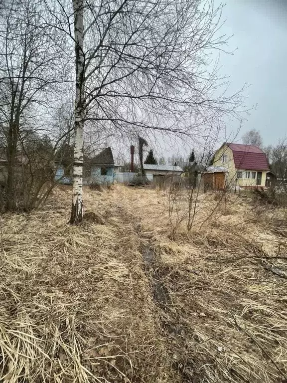 Участок в Калужская область, Боровский муниципальный округ, Здоровье ... - Фото 2