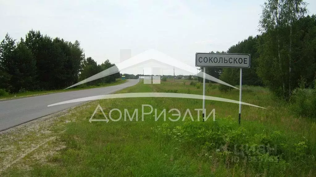 Участок в Нижегородская область, Сокольский городской округ, ... - Фото 0