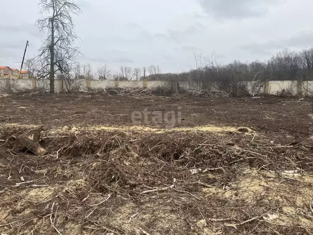 Участок в Курская область, Курский район, Нижнемедведицкий сельсовет, ... - Фото 0