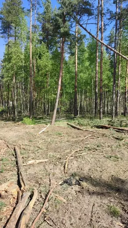 Участок в Рязанская область, Рязанский район, Дубровическое с/пос, с. ... - Фото 1