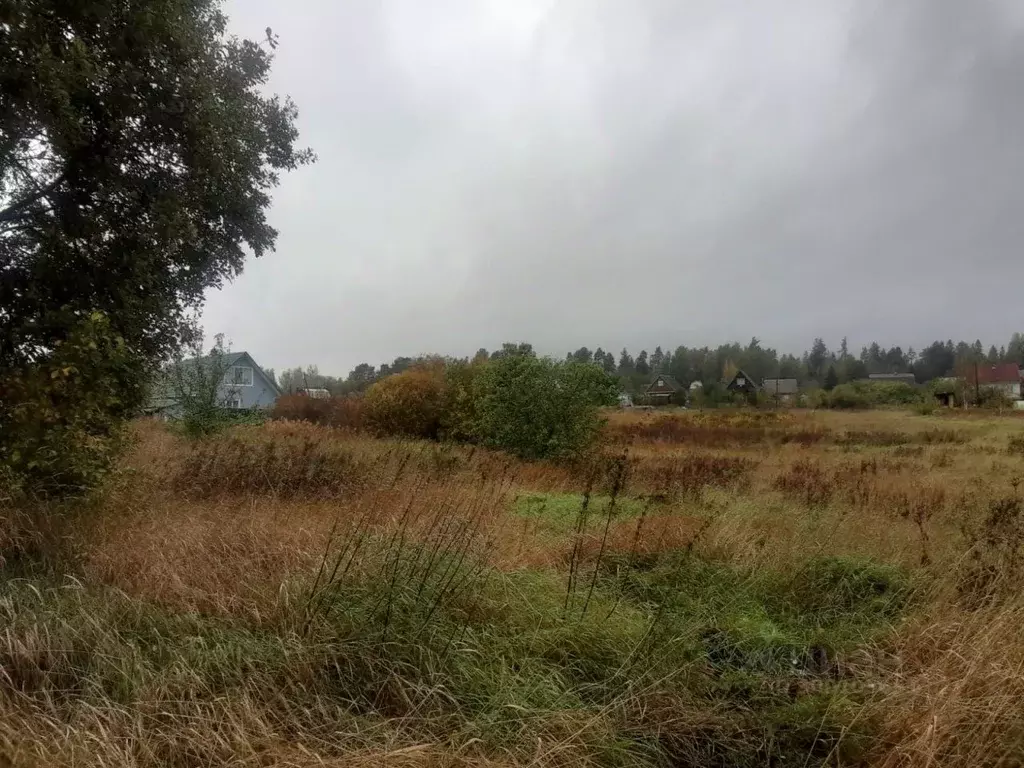 Участок в Ленинградская область, Приозерский район, Кузнечнинское ... - Фото 1