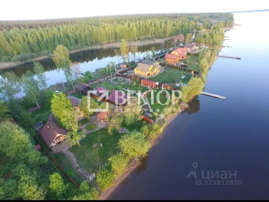 Дом в Костромская область, Красносельский район, Боровиковское с/пос, ... - Фото 1