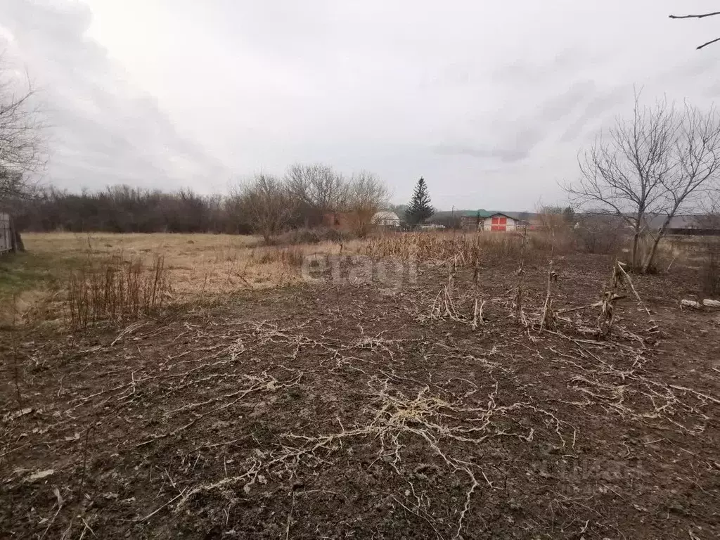 Дом в Белгородская область, Валуйский городской округ, с. Новая ... - Фото 0