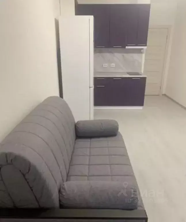 Студия Санкт-Петербург просп. Буденного, 21к1 (24.0 м) - Фото 2