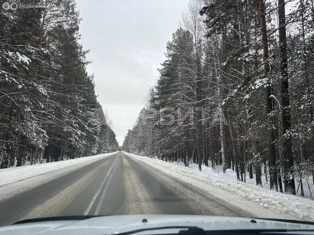 Участок в Нижнетавдинский район, село Бухтал (5000 м) - Фото 1