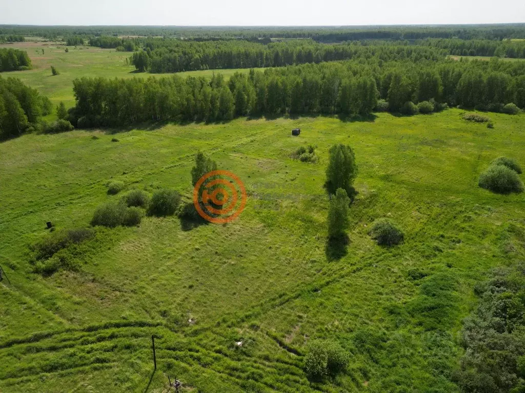 Участок в Тюменская область, Ялуторовский муниципальный округ, ... - Фото 2