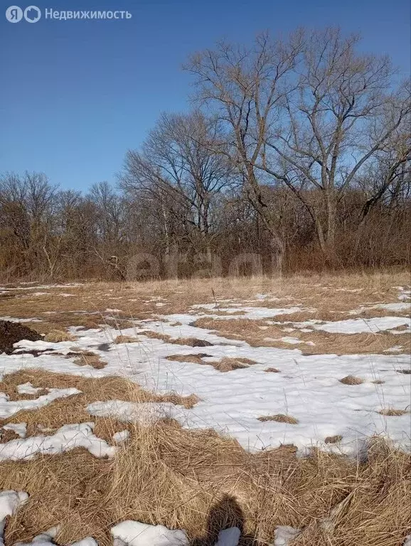 Участок в Воронеж, Железнодорожный район (8 м) - Фото 2