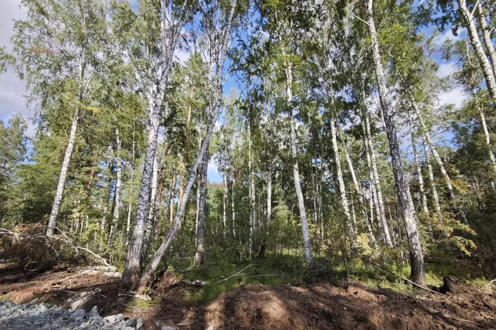 Участок в Свердловская область, Екатеринбург Кургановский дп,  (5.0 ... - Фото 1