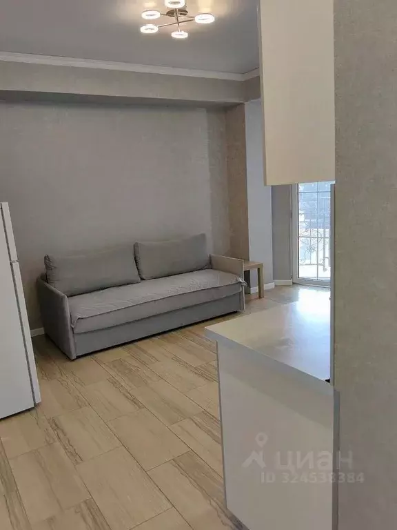 1-к кв. Краснодарский край, Сочи ул. Демократическая, 45 (33.0 м) - Фото 1