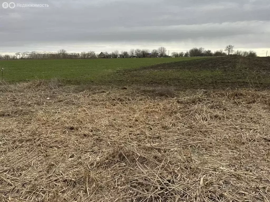 Участок в село Суворовское, Южная улица (21.99 м) - Фото 1