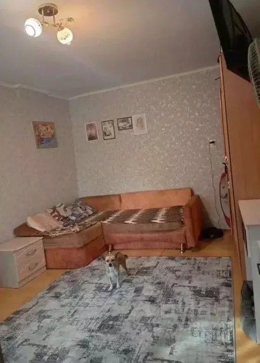 Дом в Крым, Симферополь ул. Кондукторская (29 м) - Фото 1