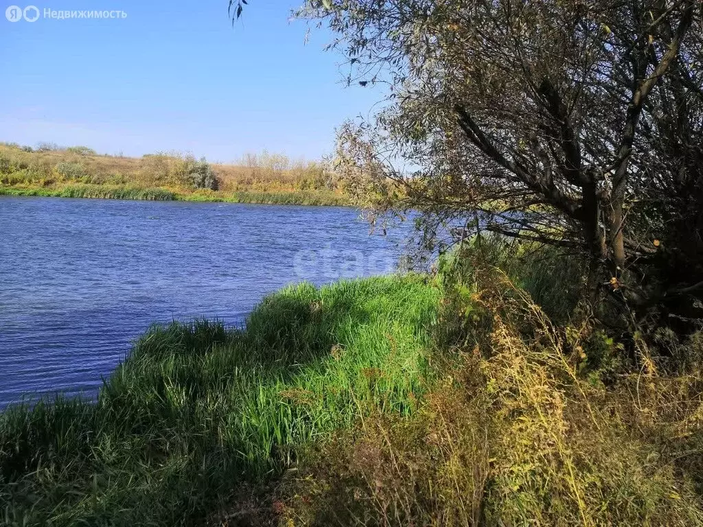 Участок в село Новоживотинное, улица Новосёлов (7 м) - Фото 0