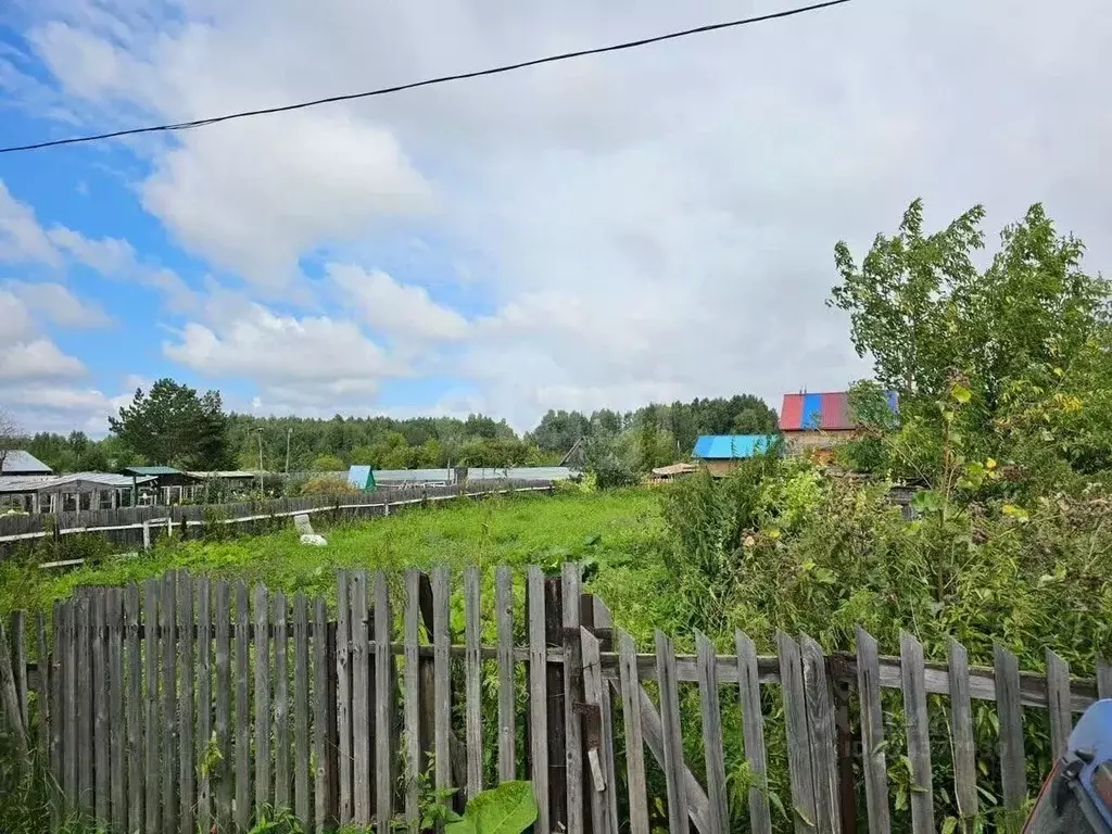 Участок в Новосибирская область, Новосибирск Озерное СНТ, 61 (4.6 ... - Фото 1