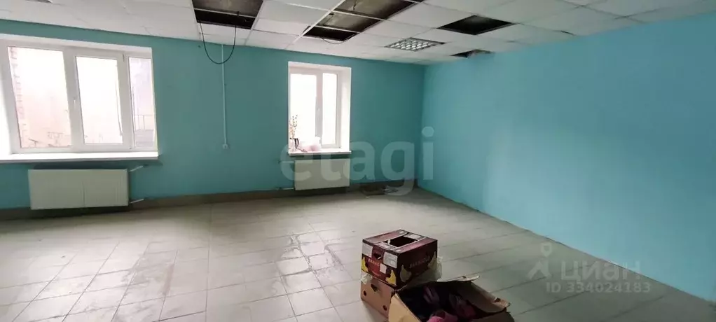 Торговая площадь в Псковская область, Псков Инженерная ул., 18 (72 м) - Фото 2