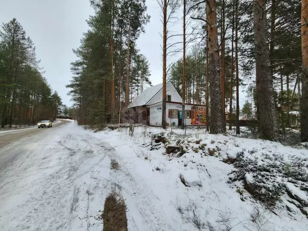 Торговая площадь в Коми, Сыктывдинский район, с. Выльгорт ул. ... - Фото 2