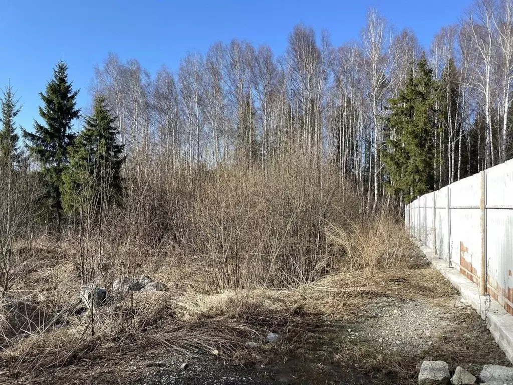 Участок в Свердловская область, Верхняя Пышма городской округ, пос. ... - Фото 2