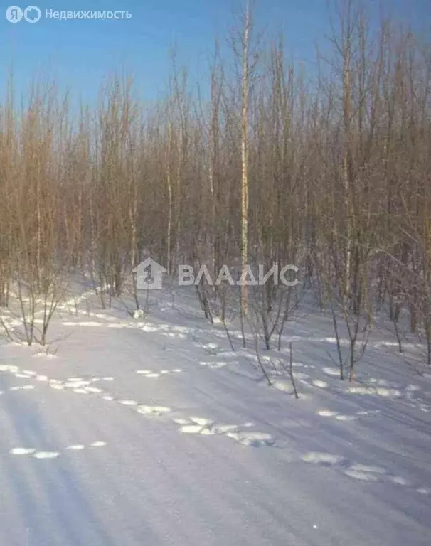 Участок в Нижегородская область, муниципальный округ Бор, деревня ... - Фото 1