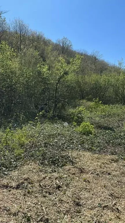 Участок в Краснодарский край, Туапсинский муниципальный округ, Джубга ... - Фото 2