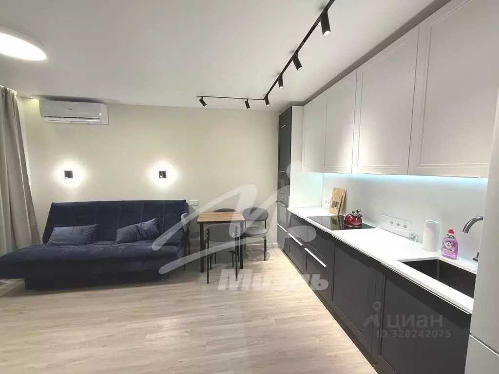 1-к кв. Московская область, Апрелевка Наро-Фоминский городской округ, ... - Фото 2