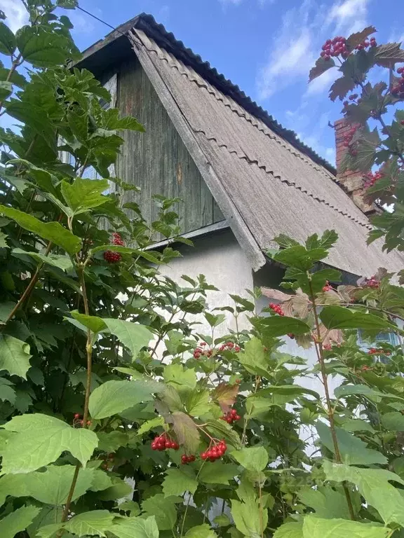 Дом в Иркутская область, Иркутск Союз учителей СТ,  (50 м) - Фото 2