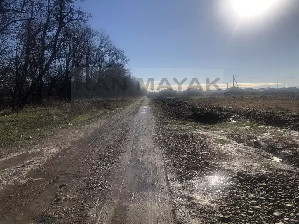 Участок в Адыгея, Майкоп городской округ, пос. Западный ул. Тополиная, ... - Фото 1