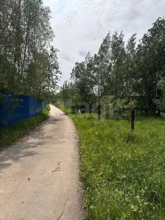Участок в Владимирская область, Петушинский район, д. Пекша ул. ... - Фото 0