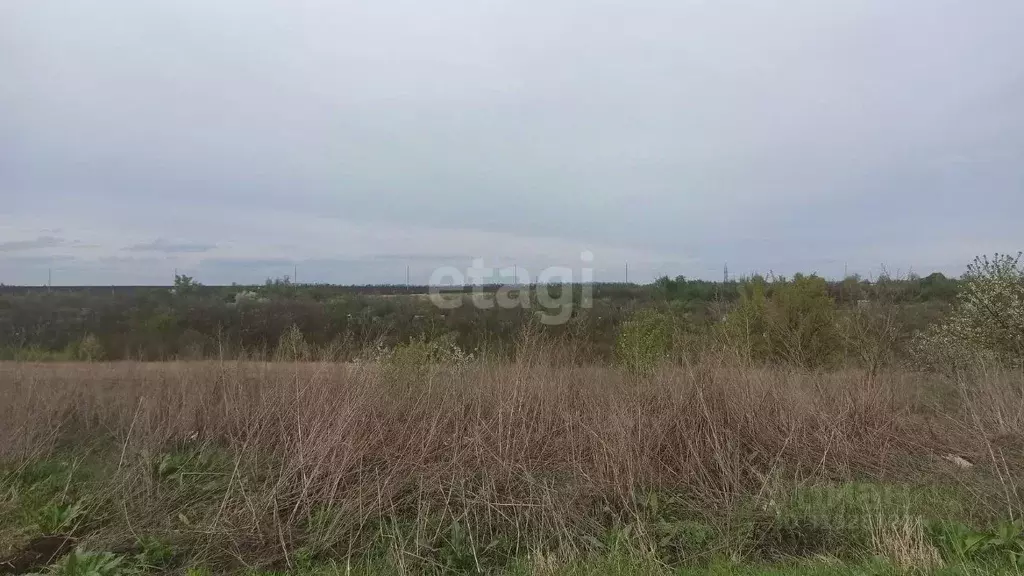Участок в Белгородская область, Белгородский район, Ериковское с/пос, ... - Фото 0