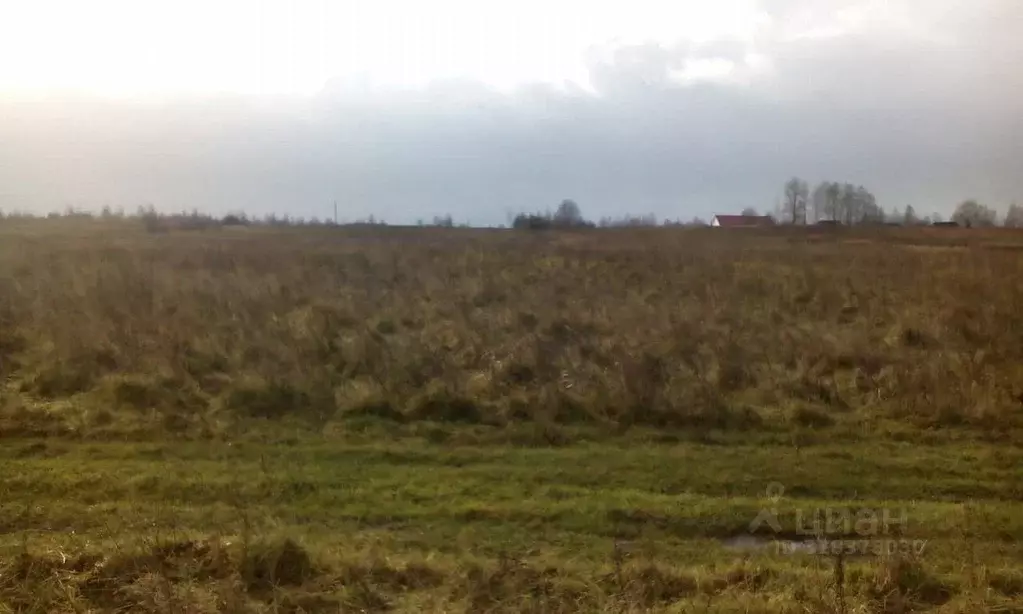 Участок в Новгородская область, Солецкий муниципальный округ, д. ... - Фото 1