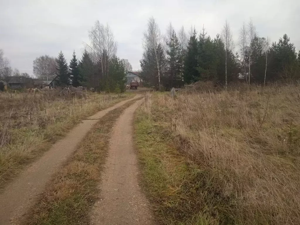 Участок в Вологодская область, с. Кубенское ул. Ильюшина (12.0 сот.) - Фото 0