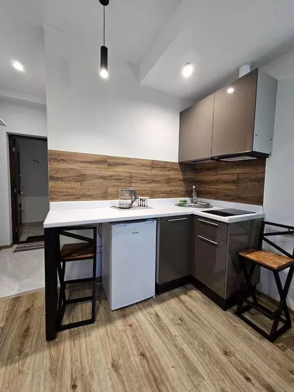 1-к кв. Краснодарский край, Сочи ул. Яна Фабрициуса, 66/1 (14.0 м) - Фото 1