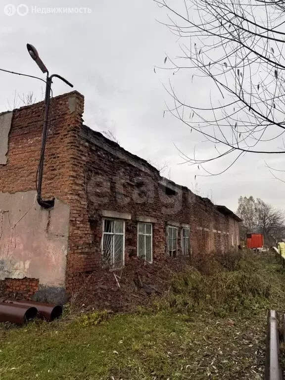 Участок в Горно-Алтайск, Красноармейская улица (4.62 м) - Фото 2