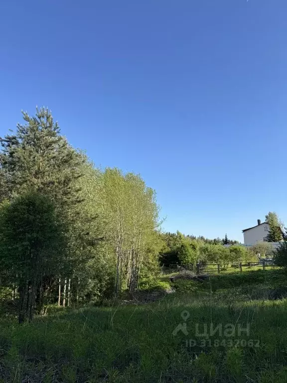 Участок в Ленинградская область, Всеволожский район, Бугровское ... - Фото 0