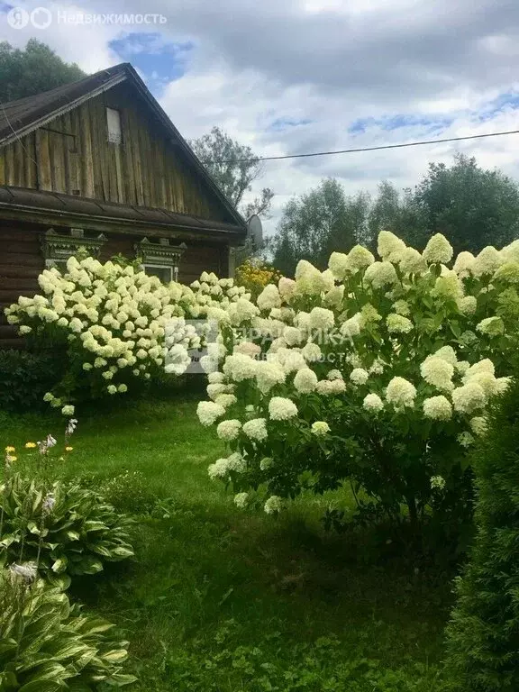 Дом в Московская область, городской округ Ступино, деревня Ольховка, ... - Фото 2