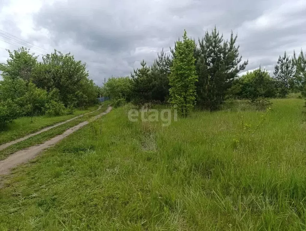 Участок в Воронежская область, Воронеж Березка СНТ,  (9.0 сот.) - Фото 1