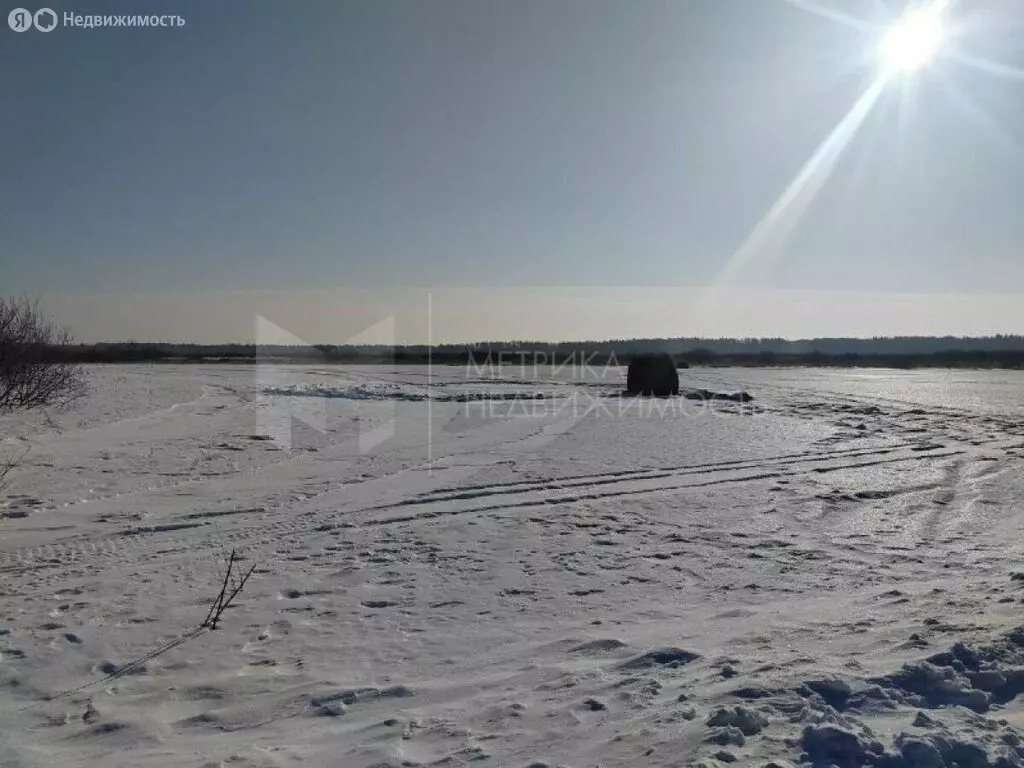 Участок в Тюмень, садовое товарищество Яровское, Грушевая улица, 30 ... - Фото 1