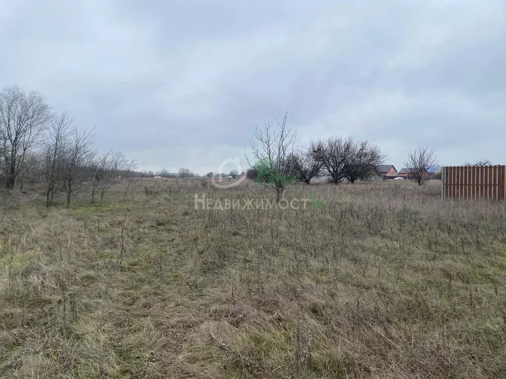 Участок в Краснодарский край, Ейский район, с. Кухаривка ул. Советов ... - Фото 1