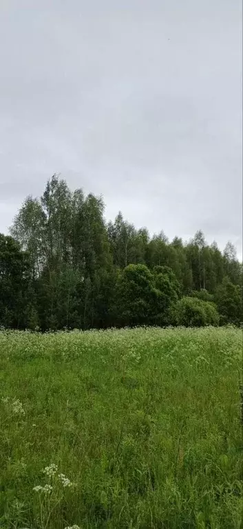 Участок в Тверская область, Калязинский муниципальный округ, д. Устье  ... - Фото 2