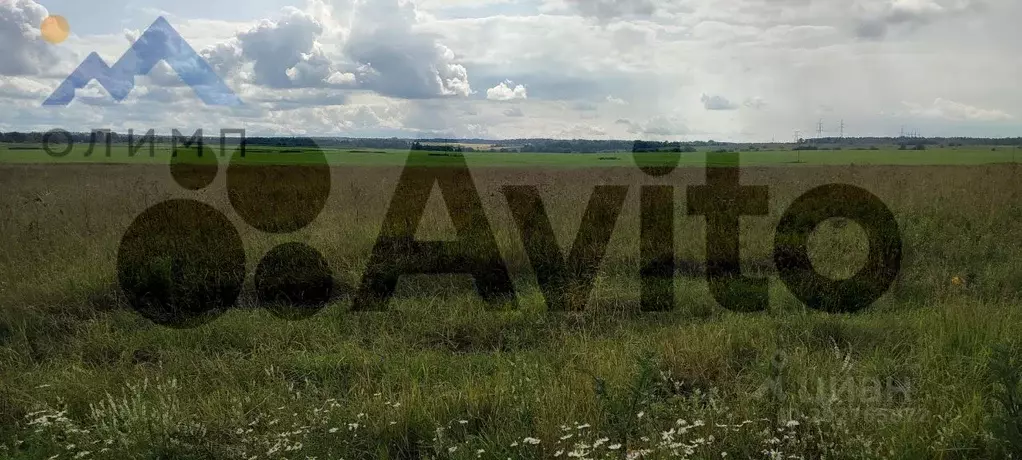 Участок в Вологодская область, д. Пилатово  (9.34 сот.) - Фото 1
